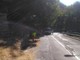 Pigna: terminati questa mattina i lavori di sfalciamento e pulizia della strada provinciale (Foto)