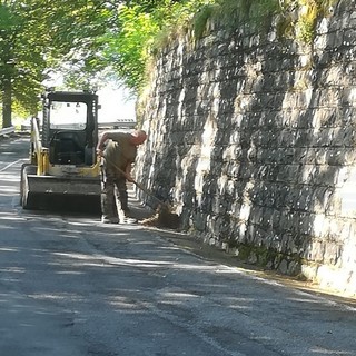 Proseguono velocemente i lavori sulla Strada Provinciale tra Colle d'Oggia e Montalto-Carpasio (Foto)