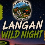 Langan Wild Night, natura e stelle protagoniste a Langan: il 25 luglio una serata tra cinema, pizza e astronomia