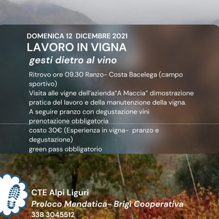 Mendatica: 'Lavoro in vigna', domenica prossima un'esperienza proposta del Cte e dalla Pro Loco