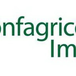 Le rose di Confagricoltura Imperia, domenica ai malati del gemelli nella ‘Giornata del sollievo’ Le rose di Confagricoltura Imperia, domenica ai malati del gemelli nella ‘Giornata del sollievo’