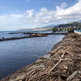 Il legname rimasto sulle spiagge dopo l'alluvione di ottobre