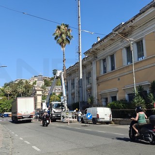 Sanremo: scattati questa mattina i lavori per lo smantellamento delle torri faro allo stadio 'Comunale' (Foto) Sanremo: scattati questa mattina i lavori per lo smantellamento delle torri faro allo stadio 'Comunale' (Foto)