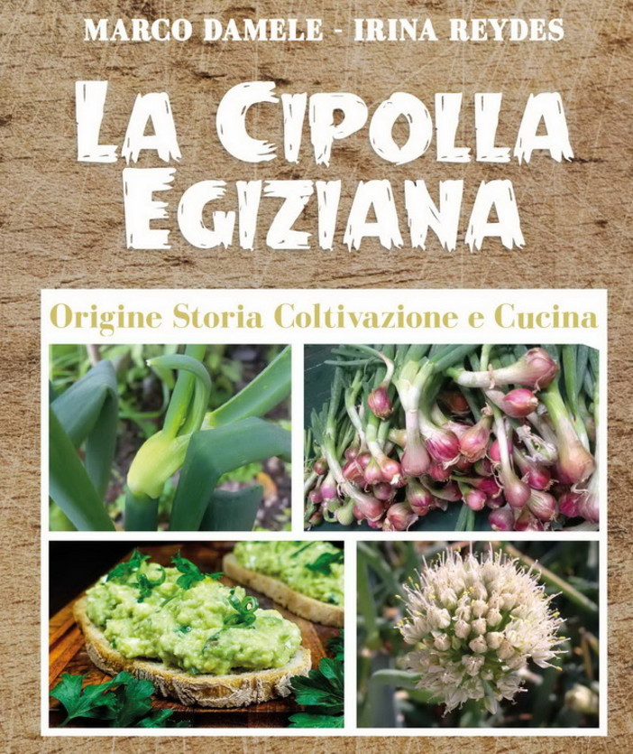 Il 18 settembre la seconda edizione de "La cipolla egiziana": origine, storia, coltivazione e cucina (Edizioni Zem)