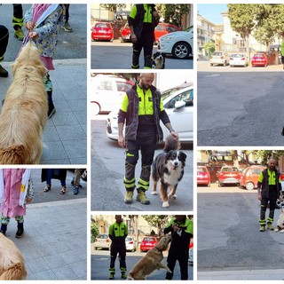 Imperia, lezione speciale per i piccoli allievi della 'Littardi' con l'unità cinofila dei Vigili del Fuoco (Foto e Video)