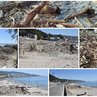 Nella gallery le foto di oggi ed alcune immagini del legname poche ore dopo la mareggiata