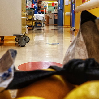 Un quintale di limoni da un coltivatore di Ospedaletti per il Gaslini: il profumo inebria l'ospedale genovese