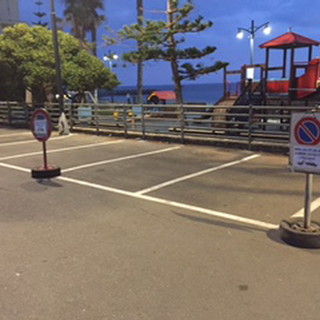 Bordighera: furto di verde dalle araucarie del lungomare, ladri immortalati dalle telecamere