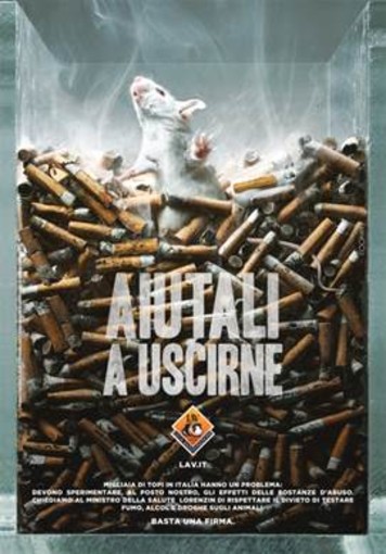 Sanremo: nel weekend banchetto LAV in via Matteotti per dire no ai test sugli animali