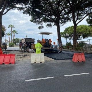 Diano Marina: pericoli per le radici dei pini marittimi, lavori di riasfaltatura in corso (Foto)