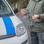 Bracconaggio tra Bajardo e Berzi: il plauso alla Polizia Provinciale e le gravi criticità della vigilanza regionale