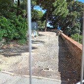 Aiuole e percorsi ai Giardini Regina Elena di Sanremo: “Serve equilibrio tra tutela del verde e accessibilità