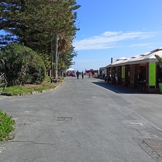 Bordighera, Trucchi chiede una commissione informativa sulla riqualificazione della passeggiata mare: mozione accolta Bordighera, Trucchi chiede una commissione informativa sulla riqualificazione della passeggiata mare: mozione accolta