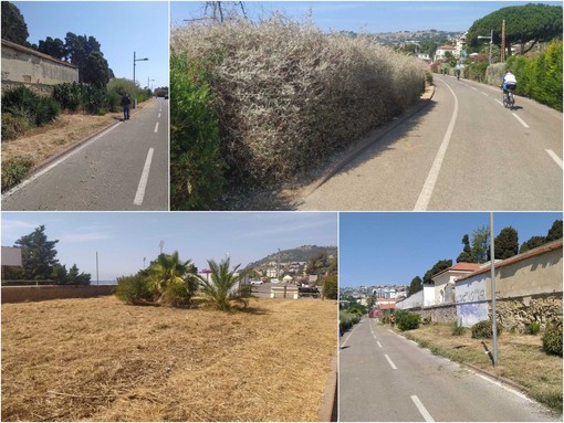 Le immagini dalla ciclabile in zona Foce Le immagini dalla ciclabile in zona Foce