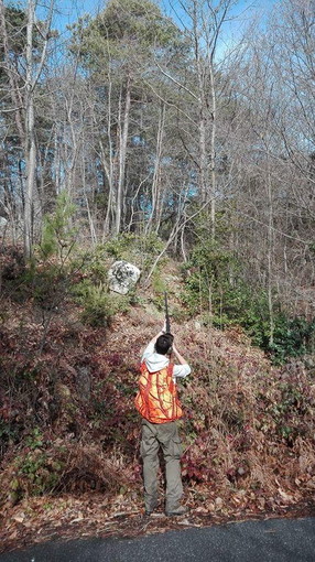 Ceriana: ieri intervento di Federcaccia con una lotta balistica alla processionaria del pino