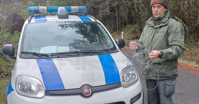 Lacci per caprioli tra Bajardo e Berzi: trappole dei bracconieri, pericolo mortale per cani e persone sui sentieri