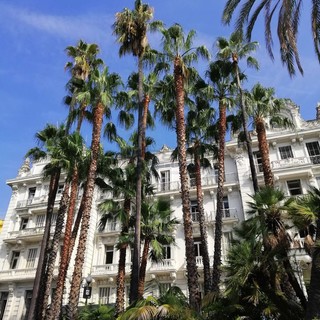 Sanremo: servizio di manutenzione del verde pubblico affidato alla cooperativa ‘Il Solco’ fino al 31 dicembre