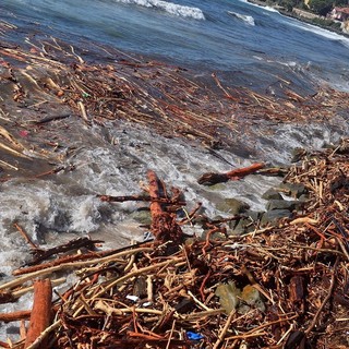 Camporosso: ordinanza del Sindaco, fino al 31 ottobre consentito prelevare il legno dalle spiagge Camporosso: ordinanza del Sindaco, fino al 31 ottobre consentito prelevare il legno dalle spiagge