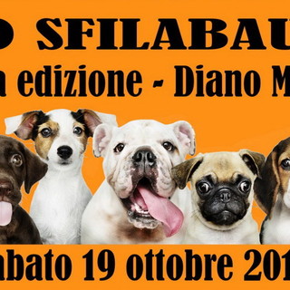 Diano Marina: sabato prossimo, 1a edizione dell'evento benefico denominato 'Sfilabau'