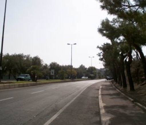 Imperia: taglio e potatura dei pini sul lungomare, Badano "Per far spazio ai pullman degli Alpini?" Imperia: taglio e potatura dei pini sul lungomare, Badano "Per far spazio ai pullman degli Alpini?"