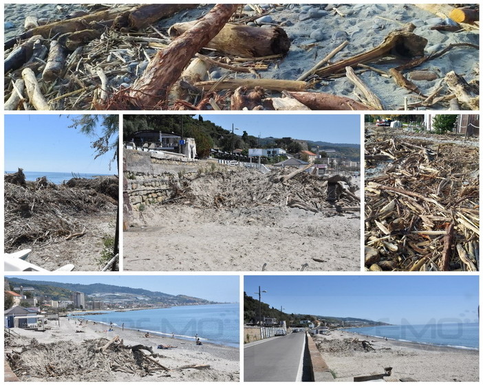 Nella gallery le foto di oggi ed alcune immagini del legname poche ore dopo la mareggiata