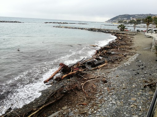 La legna arrivata sulle spiagge con la tempesta 'Alex' di ottobre