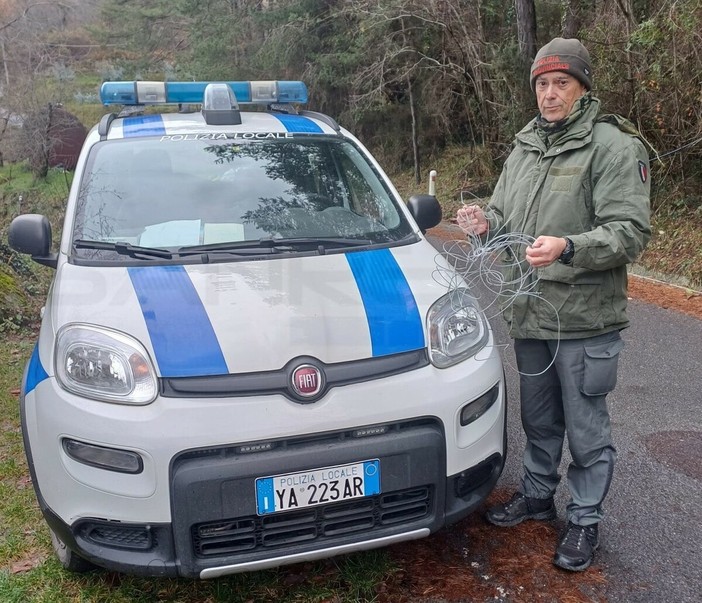 Lacci per caprioli tra Bajardo e Berzi: trappole dei bracconieri, pericolo mortale per cani e persone sui sentieri Lacci per caprioli tra Bajardo e Berzi: trappole dei bracconieri, pericolo mortale per cani e persone sui sentieri