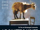 Dolceacqua: mercoledì e giovedì al cinema 'Cristallo' la proiezine di 'Le quattro volte'