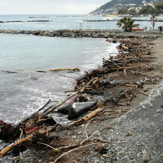La legna portata dal mare sulle spiagge di Sanremo