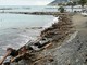 La legna portata dal mare sulle spiagge di Sanremo