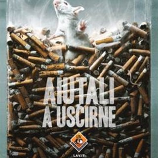 Sanremo: nel weekend banchetto LAV in via Matteotti per dire no ai test sugli animali