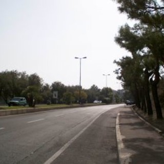 Imperia: taglio e potatura dei pini sul lungomare, Badano "Per far spazio ai pullman degli Alpini?" Imperia: taglio e potatura dei pini sul lungomare, Badano "Per far spazio ai pullman degli Alpini?"