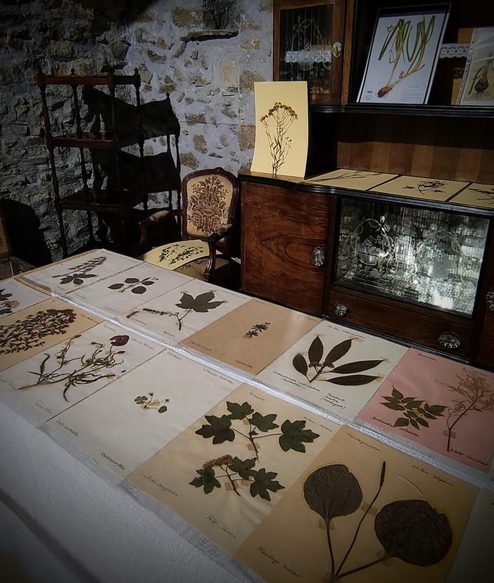 Bajardo: domani mattina durante 'Antica... mente' l'inaugurazione de 'L'Erbario di Marco Damele'