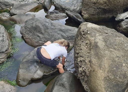 La Goletta Verde di Legambiente in Liguria dal 24 al 29 luglio: le iniziative in programma che scatta da Ventimiglia