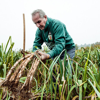 Foto di Barbara Guazzone Foto di Barbara Guazzone