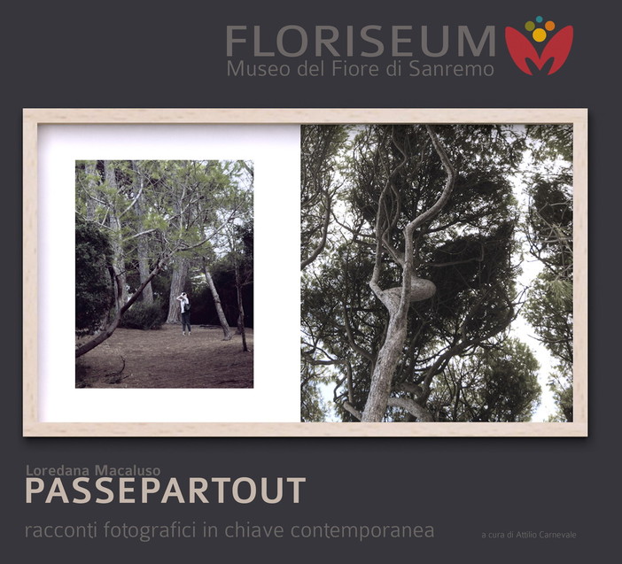 Sanremo: 'Passepartout', da sabato prossimo al 19 dicembre la mostra fotografica di Loredana Macaluso