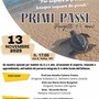L’ I.C. Sanremo Centro Levante presenta “Primi Passi…”: un percorso educativo della fascia d’età 0-6 anni.