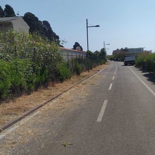 “Topi ovunque, anche sulla spiaggia”: una lettrice denuncia il degrado vissuto a Sanremo durante le vacanze