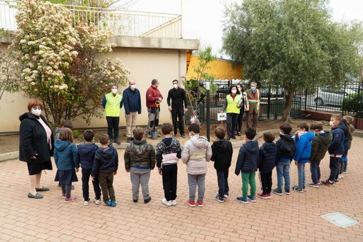 “Progetto Linea Green”, al via l’iniziativa del Lions Club Riva Santo Stefano: piantati i primi tre alberi per creare un percorso tra i 10 comuni del comprensorio (Foto)