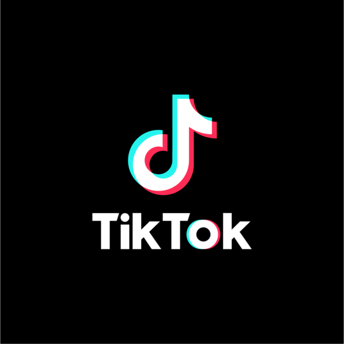 Regione, oltre 800 partecipanti per il primo webinar su TikTok: “Abbiamo riempito un teatro virtuale di mamme e papà desiderosi di conoscere”