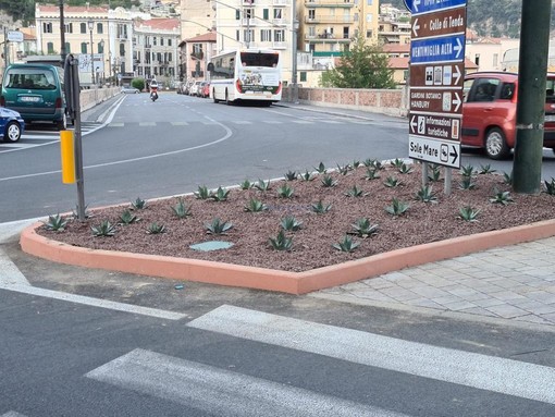 Le immagini dei lavori