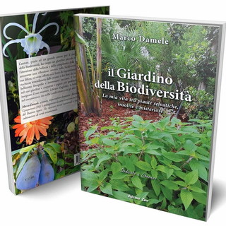 Camporosso: sabato prossimo la presentazione del libro di Marco Damele e la giornata del 'firmacopie' Camporosso: sabato prossimo la presentazione del libro di Marco Damele e la giornata del 'firmacopie'