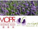 I prodotti della 'Lavanda della Riviera dei Fiori' alla 23a edizione di 'Cosmoprof Asia' ad Hong Kong I prodotti della 'Lavanda della Riviera dei Fiori' alla 23a edizione di 'Cosmoprof Asia' ad Hong Kong