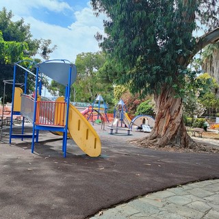 Sanremo, gabbiani aggressivi ai giardini del Sud-Est: “Serve un intervento prima che qualcuno si faccia male” Sanremo, gabbiani aggressivi ai giardini del Sud-Est: “Serve un intervento prima che qualcuno si faccia male”