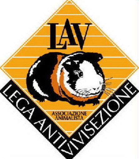 Imperia: domani in piazza San Giovanni la Lav per la petizione contro gli allevamenti 'da pelliccia' Imperia: domani in piazza San Giovanni la Lav per la petizione contro gli allevamenti 'da pelliccia'