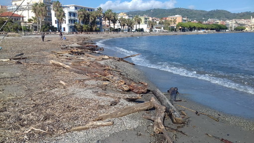 San Bartolomeo al Mare: rimozione della legna 'spiaggiata', la raccolta potrà avvenire tutti i giorni dalle 9 alle 17