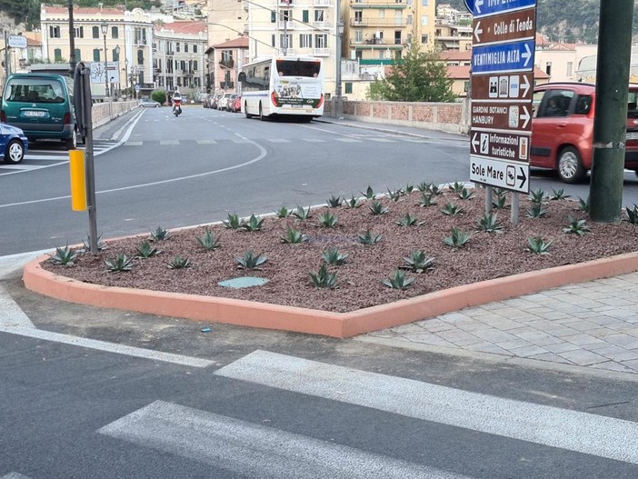 Le immagini dei lavori