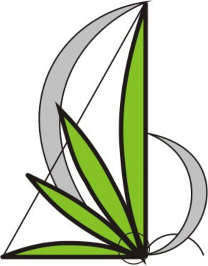 41 donne neozelandesi a Sanremo per approfondire la conoscenza dello stile italiano nella decorazione floreale