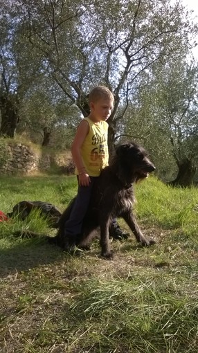 Dolceacqua: Lolita è scomparsa da casa, la proprietaria la cerca da ieri sera Dolceacqua: Lolita è scomparsa da casa, la proprietaria la cerca da ieri sera