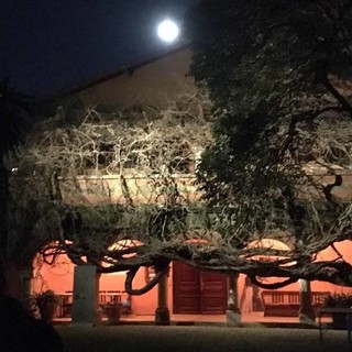 Bordighera: sabato sera al Museo “Clarence Bicknell” il concerto-spettacolo “Il pianista sulla luna”